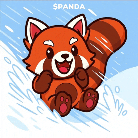 Red Panda Smile GIF by PandaMania