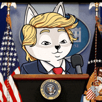 Trump Youre Wrong GIF by Raposa Coffee