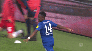 Football Soccer GIF by FC Schalke 04