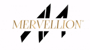 mervellion mervellion GIF