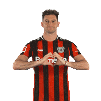 I Love You Heart Sticker by Bayer 04 Leverkusen