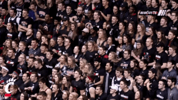 cincinnati bearcats confetti GIF by University of Cincinnati Athletics