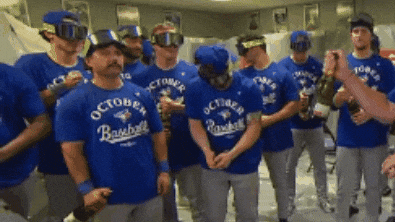 Blue Jays Baseball GIF by Toronto Blue Jays