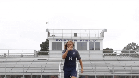 Virginiawesleyan Msoc GIF by VWU Marlins