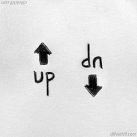 dn GIF