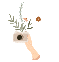 Photography Sticker