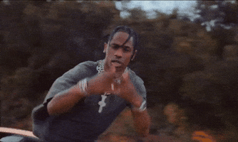 travis scott GIF