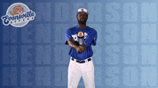 Swinging Josh Henderson GIF by Evansville Otters