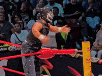 Lucha Libre Smile GIF