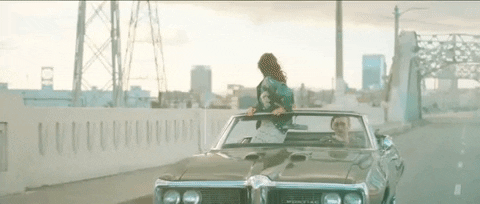 zedd giphydvr clarity zedd foxes GIF