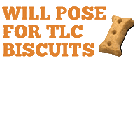Will Pose For Tlc Biscuits Sticker by TLCPETFOOD