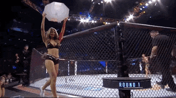 Mixed Martial Arts Sport GIF by UFC