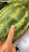 Poked Watermelon Squirts Juices GIF by ViralHog
