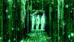 The Matrix Cyberpunk GIF