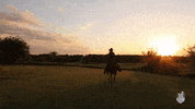 Sunset Gallop GIF by University of Central Missouri