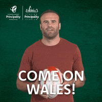 Jamie Roberts Reaction GIF by PrincipalityBS