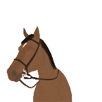 Horse Sticker