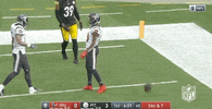 Regular Season Football GIF by NFL