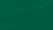 Rollwave Nolabuilt GIF by GreenWave