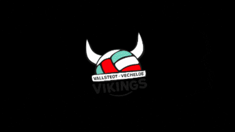 GIF by VV Vikings
