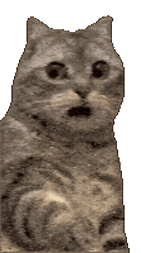 Hshta Sticker