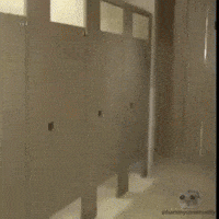 Toilet Paper Scream GIF by Sad Hamster
