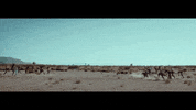 rcarecordsuk dancing cool pink nature GIF