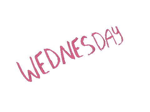 PrimaPanda pink blue circle wednesday Sticker
