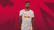 Benjamin Henrichs No GIF by RB Leipzig
