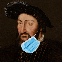 chateaudechambord fun mask france covid GIF