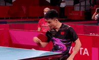 Table Tennis Sport GIF by International Paralympic Committee