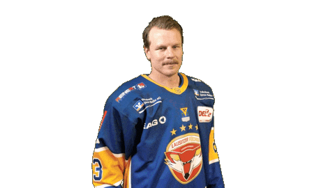 Yes Sticker by Lausitzer Füchse