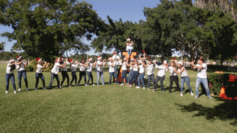 GIF by Anahuac Mayab