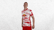 Football Yes GIF by RB Leipzig