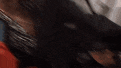Steve Mcgarrett Hawaii GIF by CBS