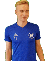 svheek hsv heek svheek Sticker