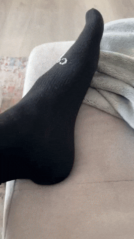 Merlot10 giphyupload GIF