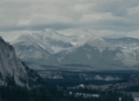 canada wow GIF by Archives of Ontario | Archives publiques de l'Ontario