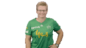 Team Green Wbbl Sticker by StarsBBL