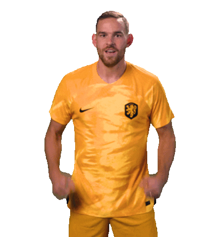 Janssen Celebrating Sticker by OnsOranje