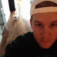 dog GIF