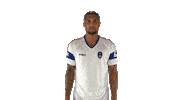 gianni ddfc Sticker by Indian Super League