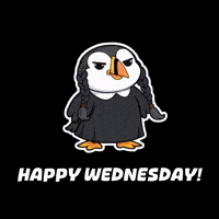 Vibes Greeting GIF by Puffins