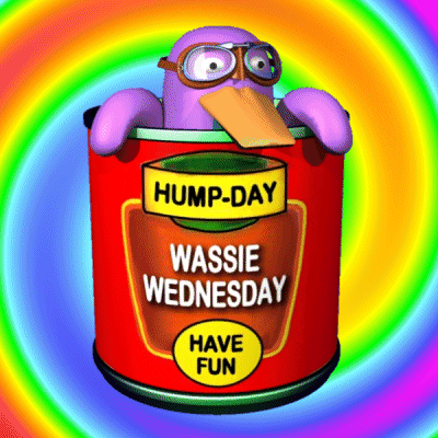 Wednesday Hump Day GIF