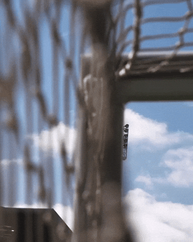 West Brom Wba GIF by West Bromwich Albion