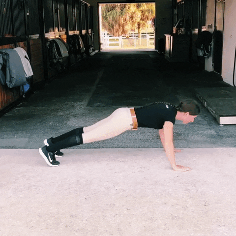 thefitequestrian fitness equestrian push up equestrian fitness GIF