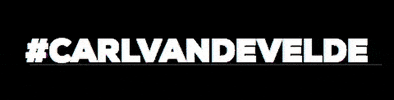 Business Cvdv GIF by Carl Van de Velde