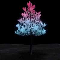 Make A Wish Night GIF by un.welt