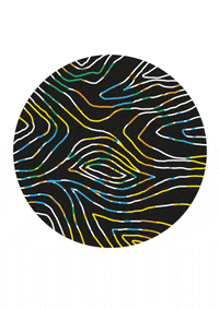 pattern circle GIF by Tim Colmant