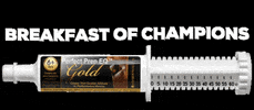 PerfectProducts equestrian dressage eventing horse show GIF
